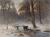 A January Evening in the Haagse Bosch