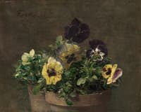 Potted Pansies