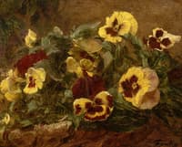 Pansies