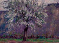 Spring Landscape