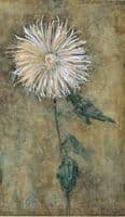 Upright Chrysanthemum against a Brownish Ground
