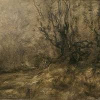 At the Edge of a Wood