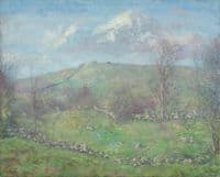 Spring on a Hillside