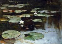 Water Lilies