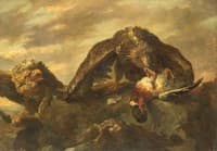 Eagle on Rocks