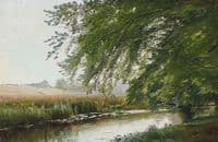 Forest scene with a stream