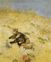 Cat in the Sunlight