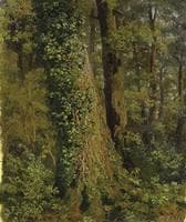 In the Oak Forest