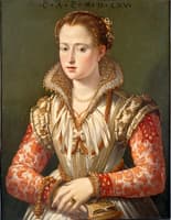 Portrait of a Young Woman