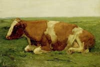 Study of a Cow