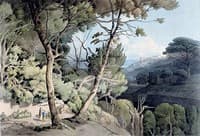 Near Naples