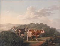 Woman with Cattle