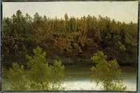 Swedish Lake. Study