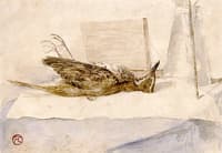 Dead Bird