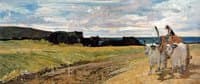 Buoi al carro