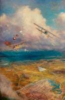 Aerial View of the Western Front