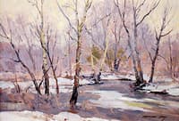 Winter Trees