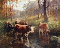 At the Watering Hole
