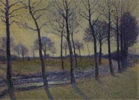Lane of Trees, Kalmthout