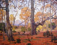 Patriarchs of the Grove