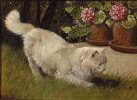 A White Persian Cat Watching a Ladybug