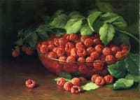 Raspberries