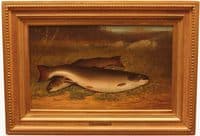 TROUT ON A BANK