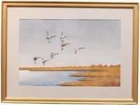 MALLARD OVER MARSH