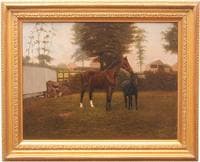 TRANQUIL PASTURE