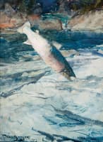 Leaping Grilse