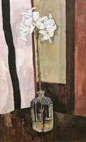 The Madonna Lily