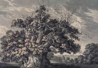 The Chestnut Tree at Little Wymondley, Hertfordshire