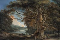 Ancient Beech Tree