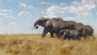 Elephants on the Move