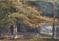 Forest Scene