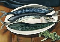 Mackerel