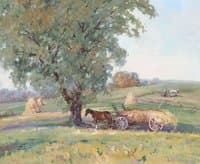 Resting in the Shade