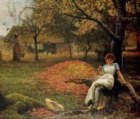 The Apple Tree
