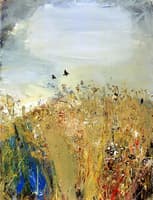 Field and Birds