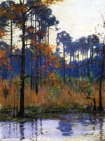 Winter in Southern Louisiana