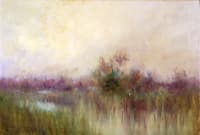 Early Morning ini a Louisiana Marsh
