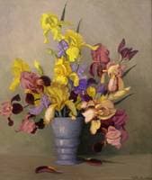Iris
