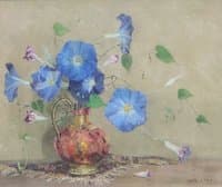 Heavenly Blue, Morning Glory