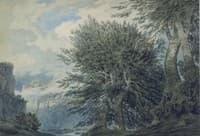 Mountainous Landscape with Beech Trees