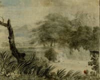 Wooded Landscape
