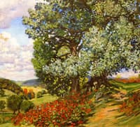 Red Flowers along Path