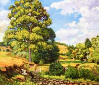 Cows in Pasture