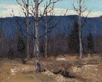 Hillside on Big Cauchon lake - Algonquin Park