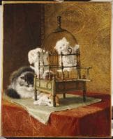 Playing Kittens