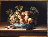 Peaches and grapes in a blue white bowl
